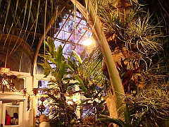 083 Toledo Zoo Light Show [2008 Dec 27]